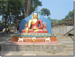 DSCN6178