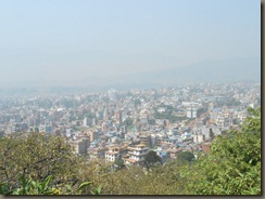 DSCN6228